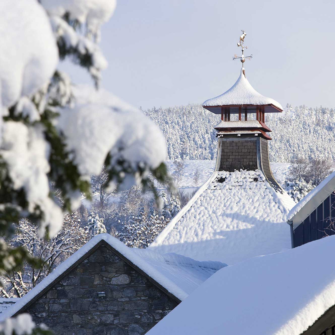 Glenfiddich Distillery Image Woodland Backdrop in Snow