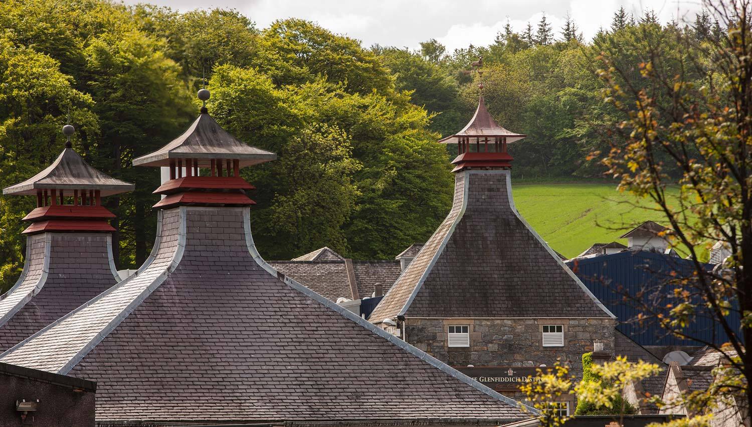 Masters of malt