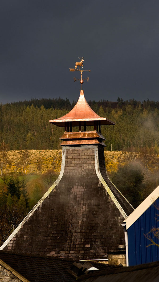 Glenfiddich distillery with forest in the background