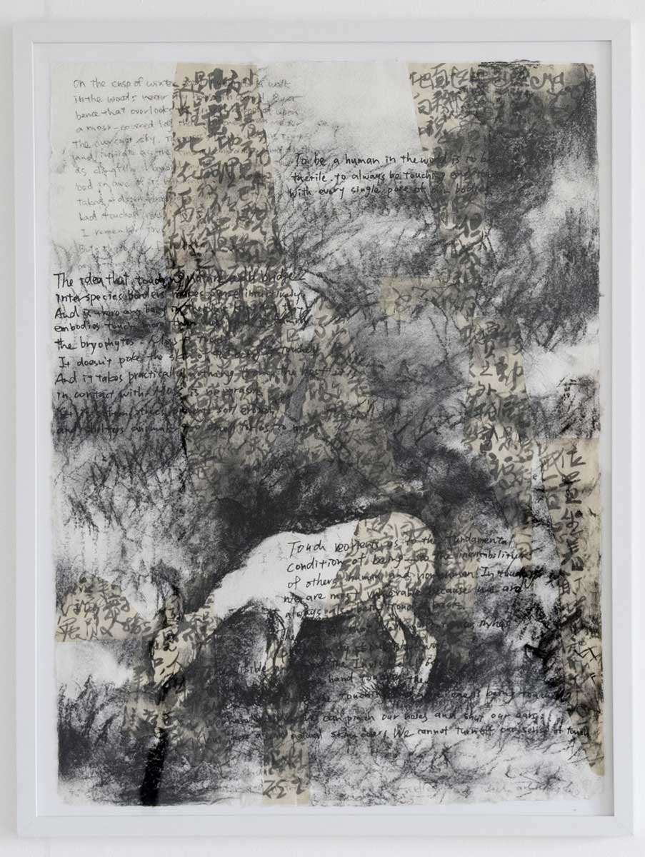 The Guardian Deer
